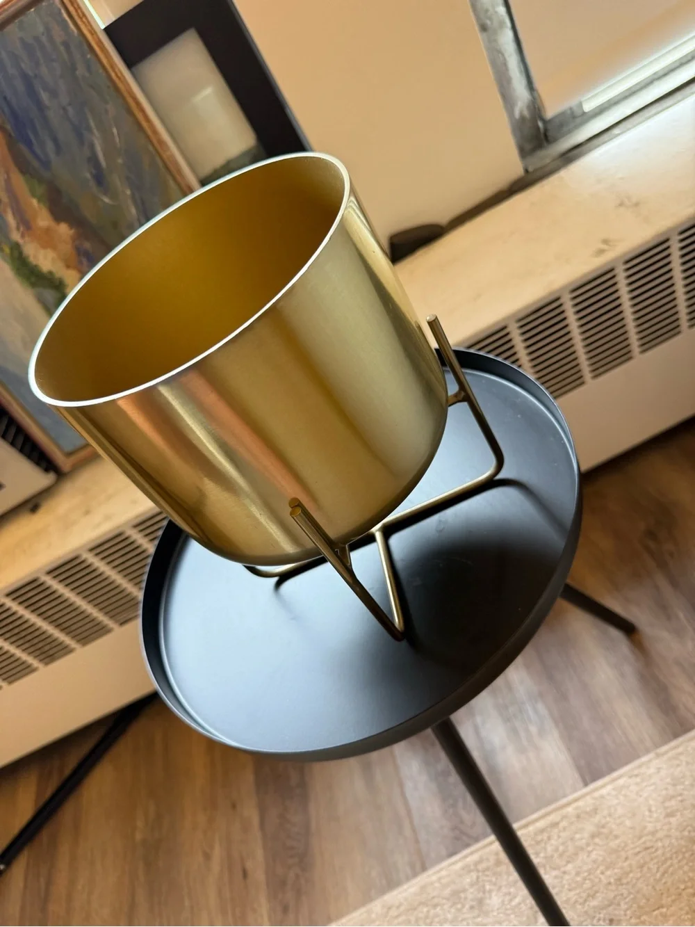 West Elm Spun Metal Tabletop Planter in Brass Gold